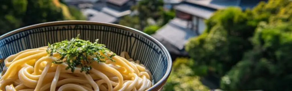 nouilles japonaises Udon origine