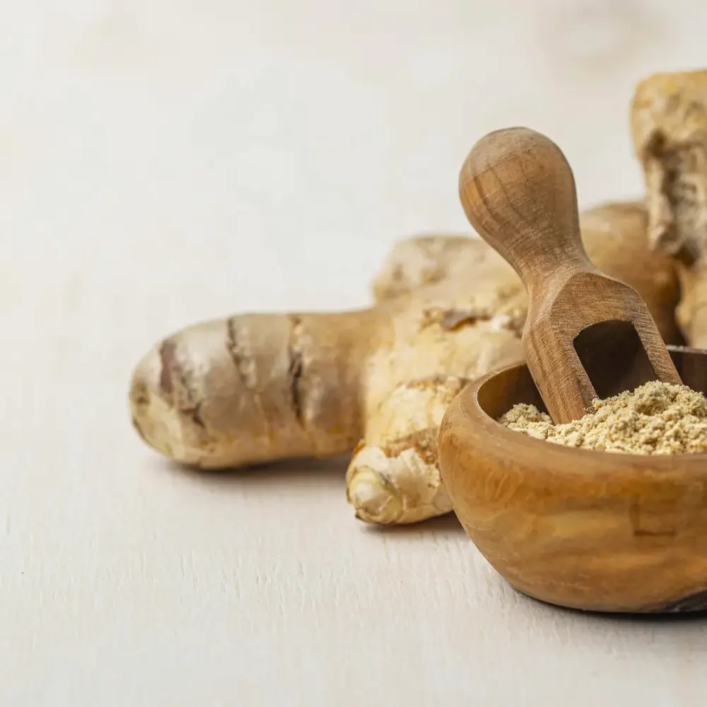 Galanga frais, épice thaï aux saveurs poivrées et citronnées, ingrédient essentiel des currys et soupes thaïlandaises